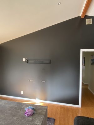 IMG_2068 MDC Painting Portfolio