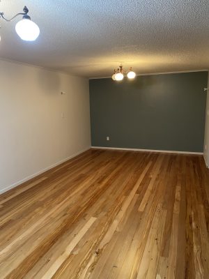 IMG_2151 MDC Painting Portfolio