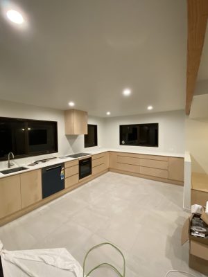 IMG_2152 MDC Painting Portfolio