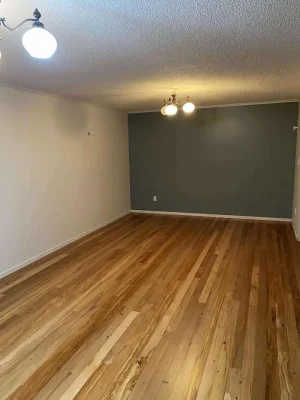 tmp169v1wev MDC Painting Work Portfolio